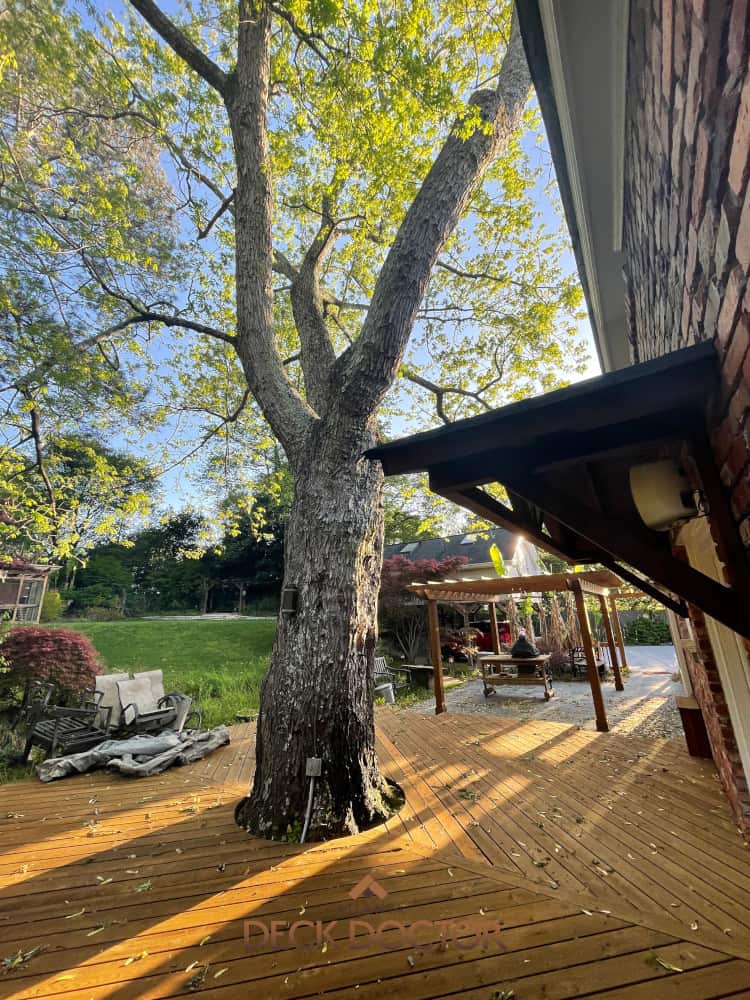 Alternate View Of Decatur Tree Deck After Refinishing & restoration.