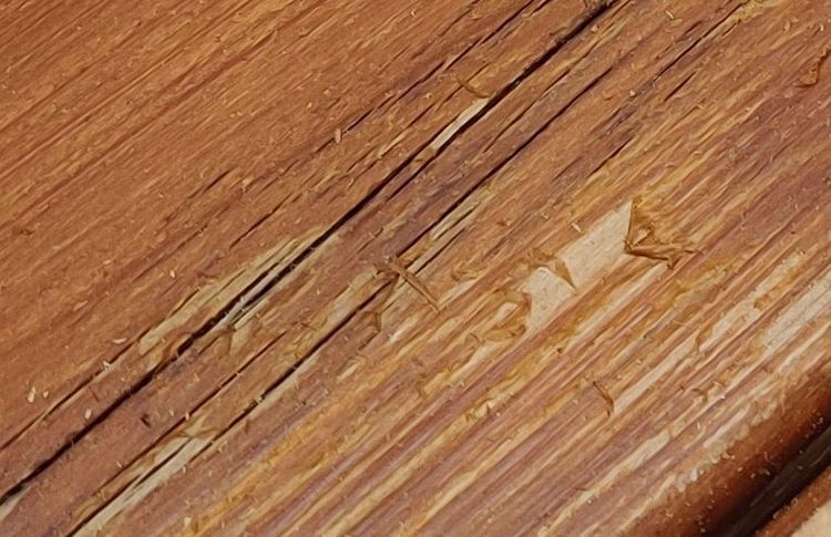 Water Based Behr Deck Stain Peeling Behr Water Based Deck Stain Peeling